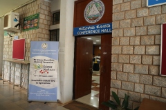 3C7A3754