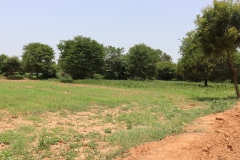 Field-Space-Facility