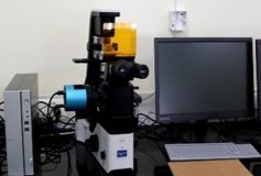 Florescent-Microscope