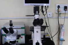 Inverted-Microscope-Facility