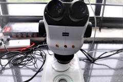 Stereo-Microscope